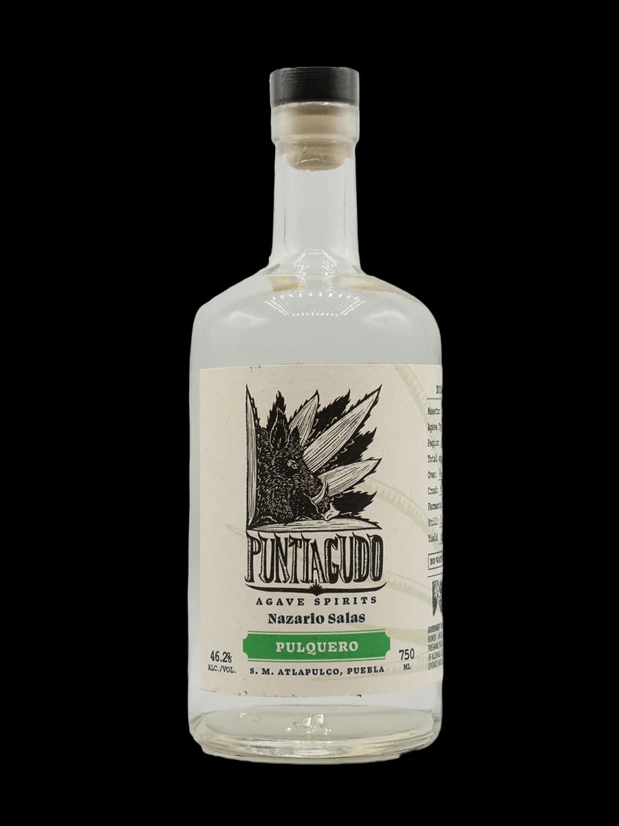 Puntiagudo Pulquero – Nazario Salas