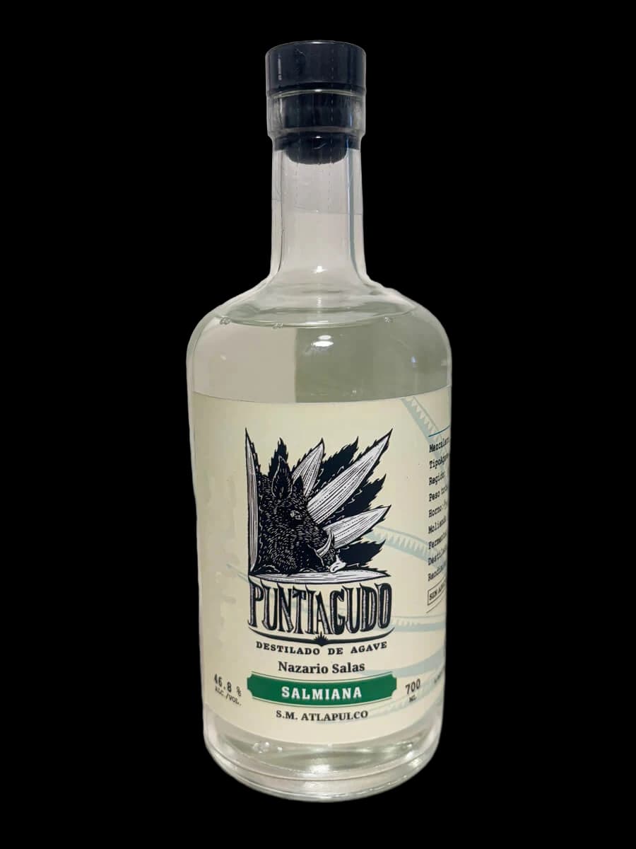 Puntiagudo Salmiana – Nazario Salas
