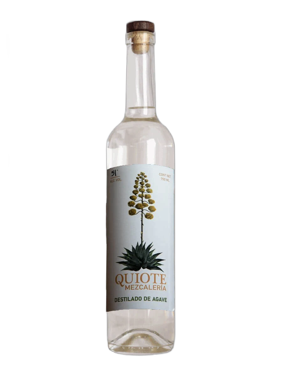 Quiote Rayo – Primitivo Vásquez