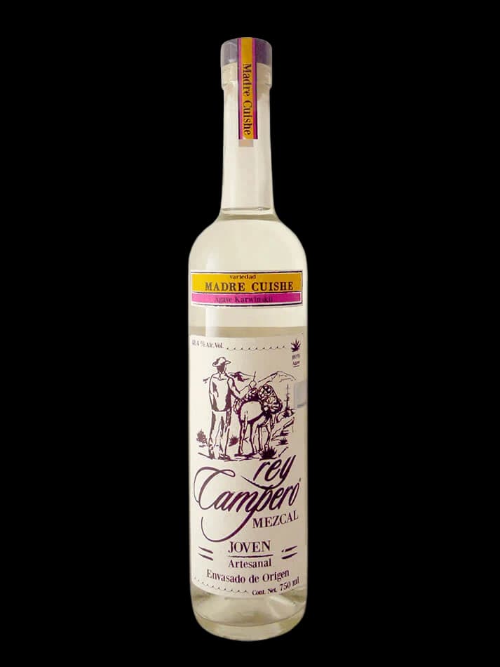 Rey Campero Madre-Cuishe
