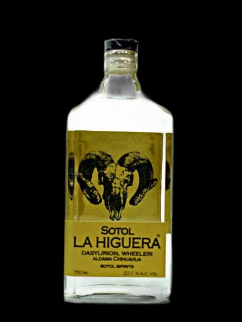 La Higuera Wheeleri by La Higuera