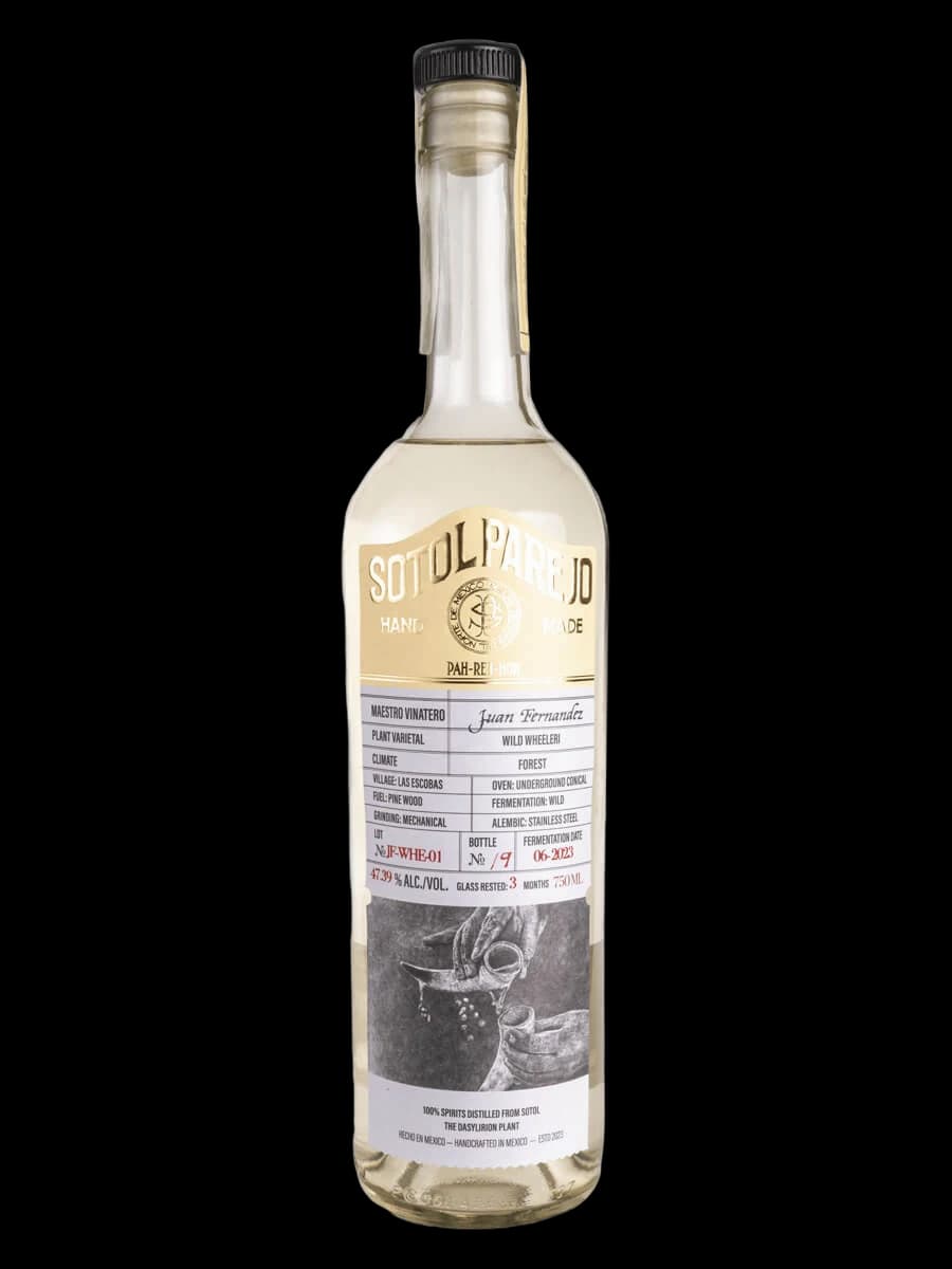 Sotol Parejo Wheeleri – Juan Fernández