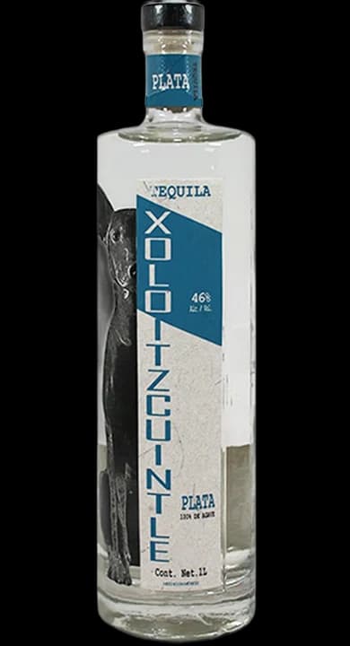 Tequila Xoloitzcuintle Plata