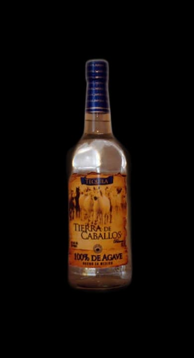 Tierra de Caballos Reposado