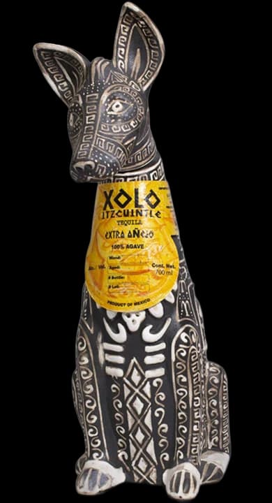 Xoloitzcuintle Black Dog Extra Añejo