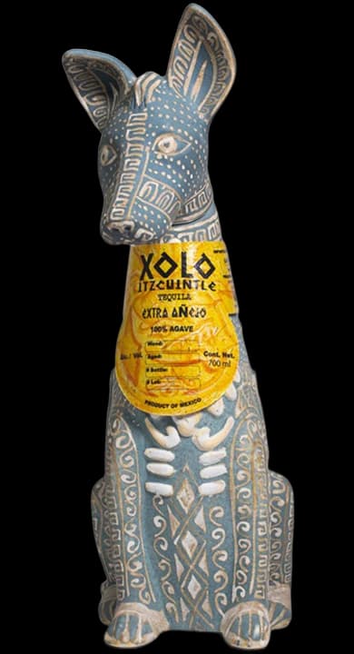 Xoloitzcuintle Blue Dog Extra Añejo